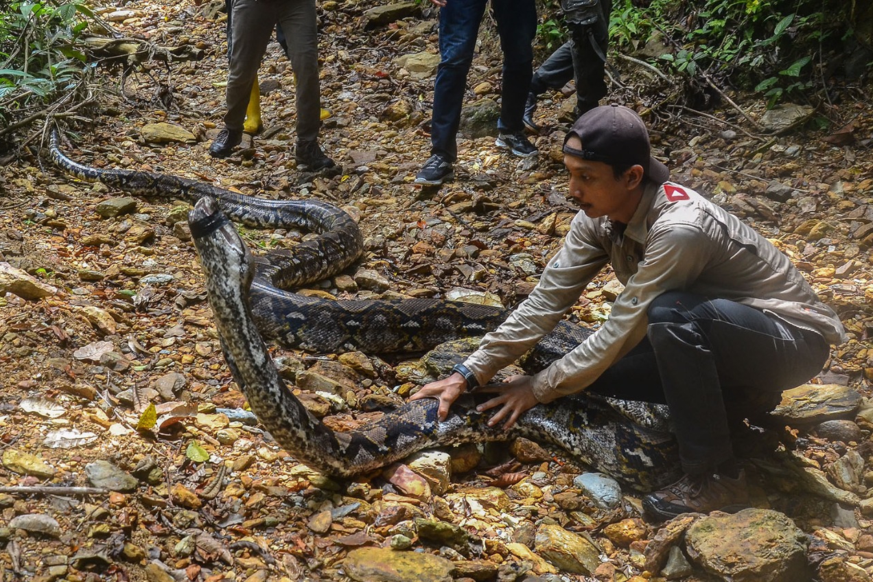 1632284159-Forletnews com-1632273717t 09-22-07 49 56