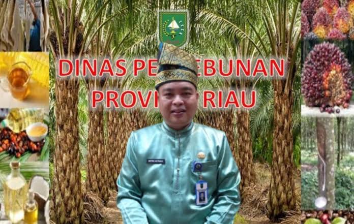 riaubertuah.id
